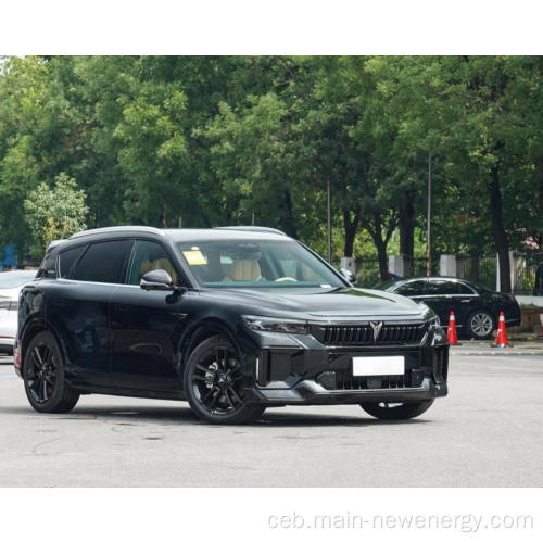 2024 Bag-ong Model Voyah Libre nga Gipalapdan ang SUV 5 DOOR 5 SEATS FUARD Electric Car